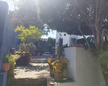  – San Miguel de Allende real estate photo 1