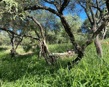  – San Miguel de Allende real estate photo 3