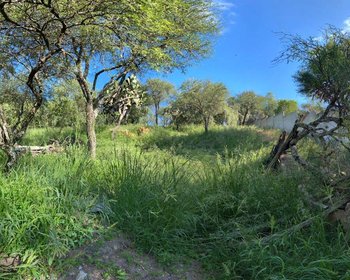  – San Miguel de Allende real estate photo 4