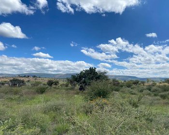 Taboada Lot – San Miguel de Allende real estate photo 3