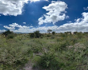 Taboada Lot – San Miguel de Allende real estate photo 4