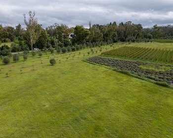  – San Miguel de Allende real estate photo 2