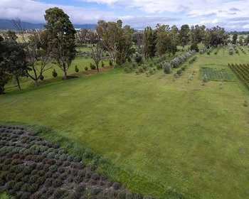  – San Miguel de Allende real estate photo 4