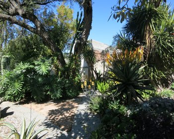  – San Miguel de Allende real estate photo 2