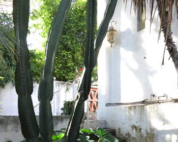  – San Miguel de Allende real estate photo 3