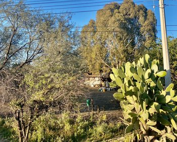 Lote en Venta en Carretera a qro en  Cerritos – San Miguel de Allende real estate photo 4