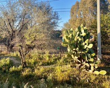 Lote en Venta en Carretera a qro en  Cerritos – San Miguel de Allende real estate photo 1
