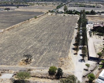 Santa Teresita Lot – San Miguel de Allende real estate photo 4