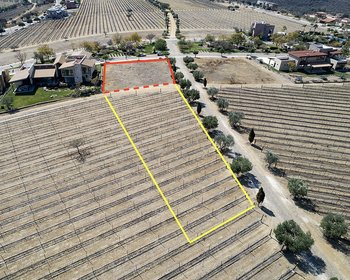 Lote Olivos – San Miguel de Allende real estate photo 3