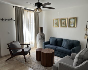  – San Miguel de Allende real estate photo 1