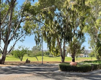 Lot Martha – San Miguel de Allende real estate photo 2