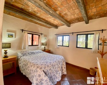  – San Miguel de Allende real estate photo 4