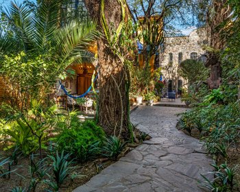 Casa Volanteros - Amazing house, Great location!!! – San Miguel de Allende real estate photo 2