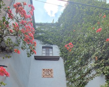  – San Miguel de Allende real estate photo 3