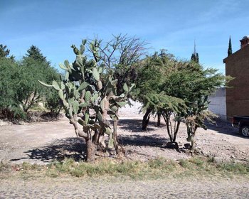  – San Miguel de Allende real estate photo 2