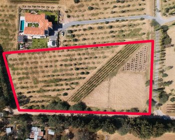 Lote Santisima Trinidad – San Miguel de Allende real estate photo 3