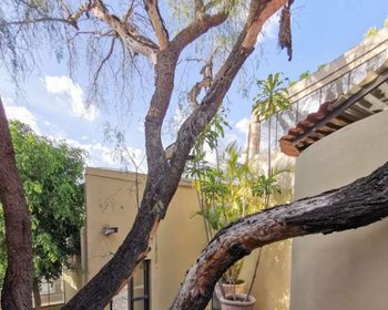 Montitlan – San Miguel de Allende real estate photo 1