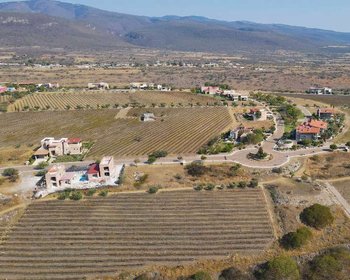 LOTE CABERNET – San Miguel de Allende real estate photo 4