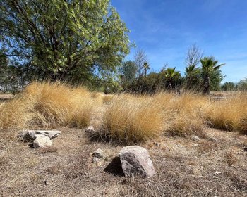 Las Fincas – San Miguel de Allende real estate photo 2