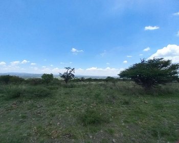 LOTES EN JUAN XIDO (CABRAS) – San Miguel de Allende real estate photo 4