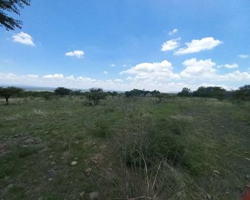 LOTES EN JUAN XIDO (CABRAS) – San Miguel de Allende real estate photo 1