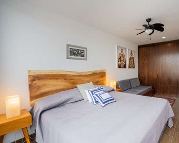 Casa Alcatraces – San Miguel de Allende real estate photo 3