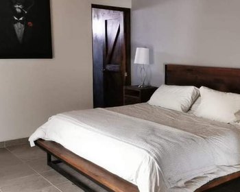  – San Miguel de Allende real estate photo 2