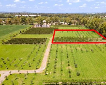 Lote 30 Viñedo San Francisco – San Miguel de Allende real estate photo 1