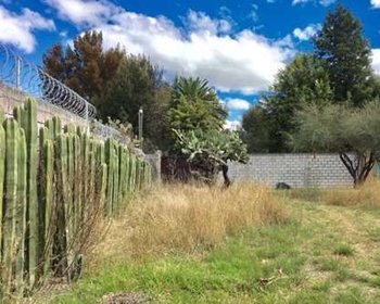 TERRENO FRENTE A OTOMI. - GRAN OPORTUNIDAD – San Miguel de Allende real estate photo 4