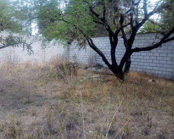 TERRENO XIDÓ DE ARRIBA – San Miguel de Allende real estate photo 2