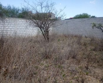 TERRENO XIDÓ DE ARRIBA – San Miguel de Allende real estate photo 3