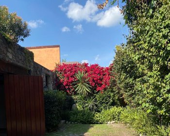 Quinta Sevilla – San Miguel de Allende real estate photo 1