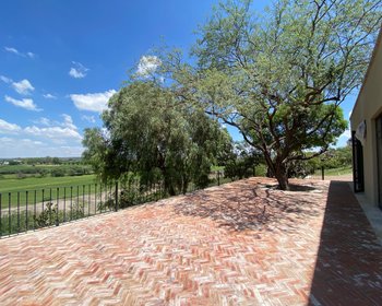 Xido Apartment for rent on the Hill. – San Miguel de Allende real estate photo 2