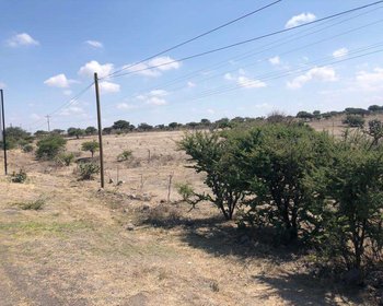 Terreno en Camino a JALPA – San Miguel de Allende real estate photo 4
