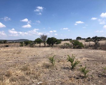 Terreno en Camino a JALPA – San Miguel de Allende real estate photo 3