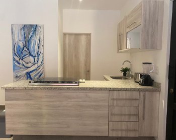 La Serena Apartment – San Miguel de Allende real estate photo 2