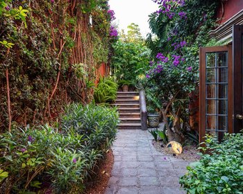 Casa Vista – San Miguel de Allende real estate photo 4