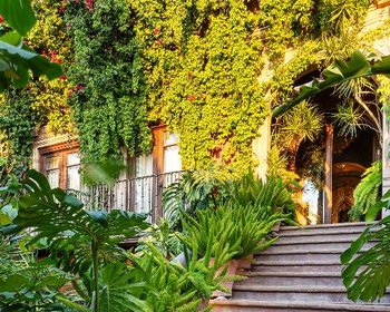 Casa Vista – San Miguel de Allende real estate photo 2