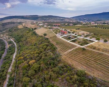 Merlot 16 – San Miguel de Allende real estate photo 4