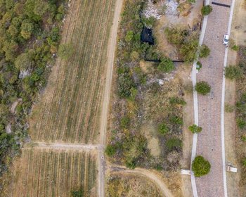 Merlot 18 – San Miguel de Allende real estate photo 2