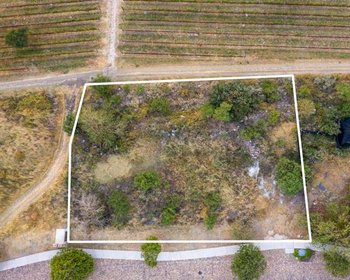 Merlot 18 – San Miguel de Allende real estate photo 4