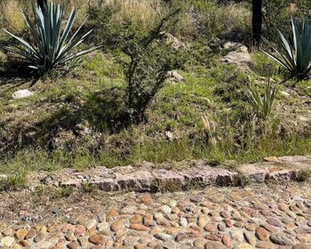 Lot in Fraccionamiento La Presa – San Miguel de Allende real estate photo 3