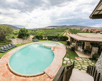 Terreno Bonanza Viñedo San Miguel – San Miguel de Allende real estate photo 2