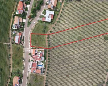 Terreno Bonanza Viñedo San Miguel – San Miguel de Allende real estate photo 4