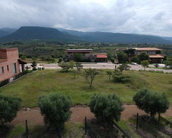 Terreno Bonanza Viñedo San Miguel – San Miguel de Allende real estate photo 3