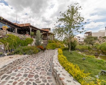 Casa San Pedro – San Miguel de Allende real estate photo 3