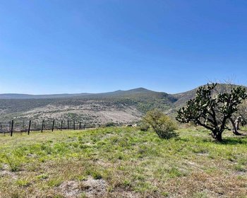 CABERNET LOT – San Miguel de Allende real estate photo 4