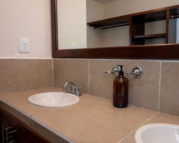Cactus House – San Miguel de Allende real estate photo 2