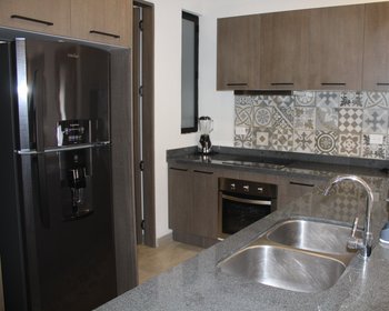 Condo La Estación  – San Miguel de Allende real estate photo 3