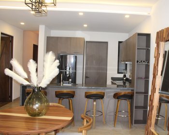 Condo La Estación  – San Miguel de Allende real estate photo 2
